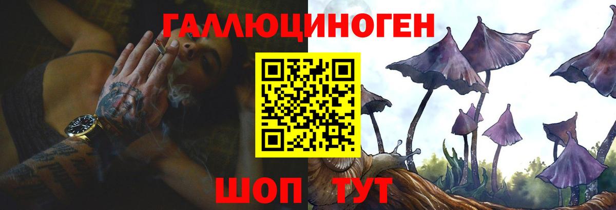 Галлюциногенные грибы Psilocybe  Вход с VPN  Северобайкальск 